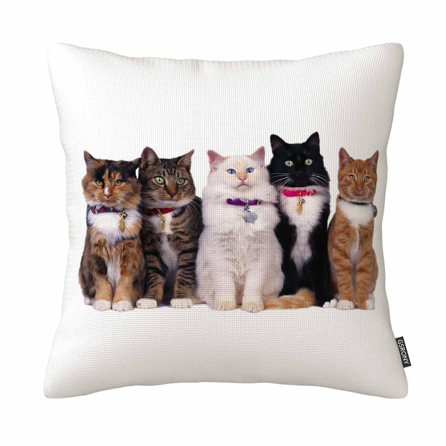 GSRONY Cats Throw Pillow Covers Cute Cat Animal Cushion Pillow Case Home Decor Pillowcase 18x18 Inches