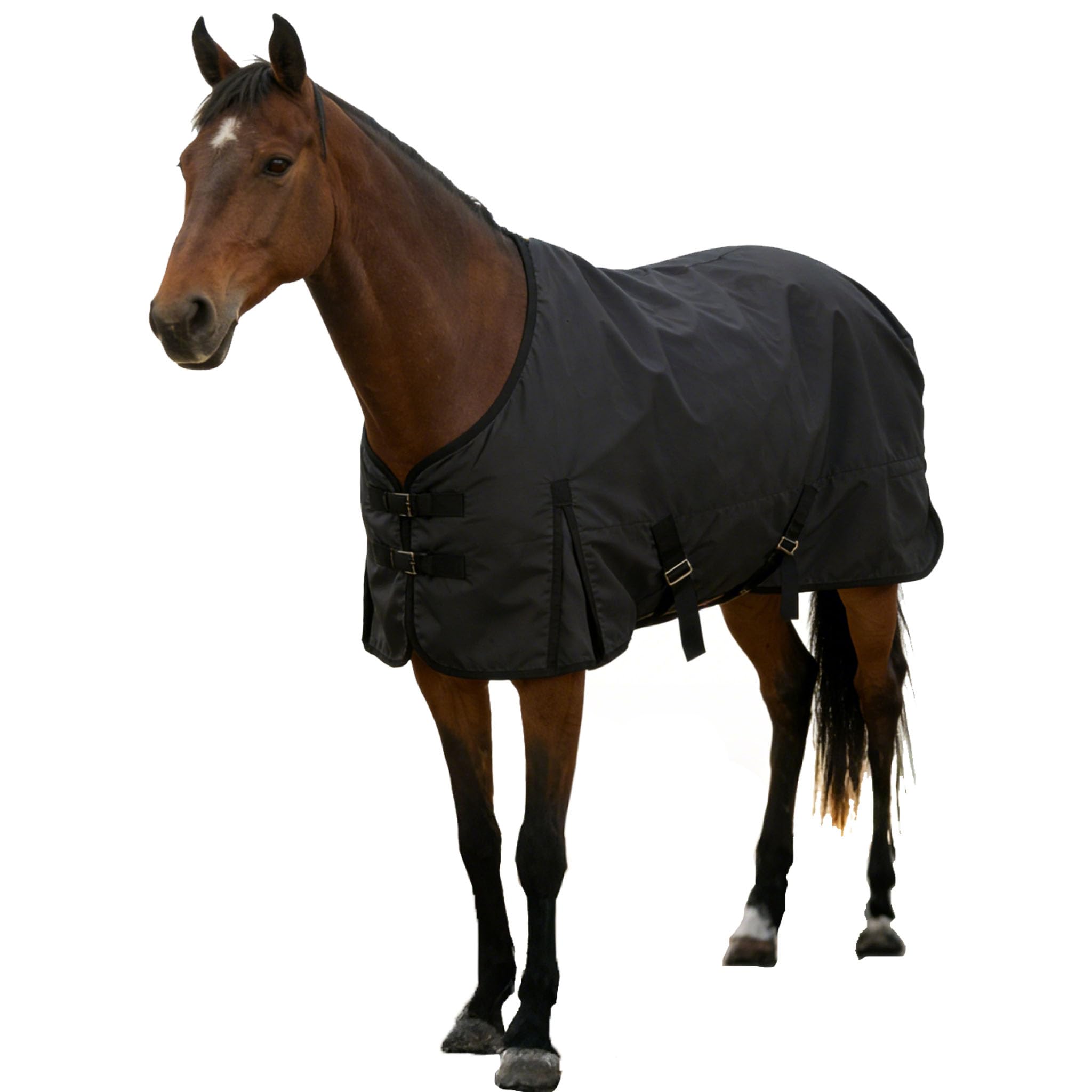 Regendecke Pferd 145 135 155 Outdoordecke Wasserdichte Decke, mit Innenfutter 1200D-schwarz-145cm