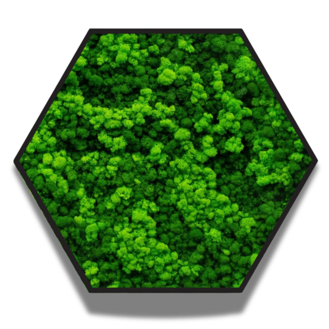 Quadro Esagonale Verde Stabilizzato con Muschio e Licheni Naturali - Decorazione Vegetale di Design per Casa e Ufficio - Senza Manutenzione (Esagonale 40x40 cm., con Cornice)