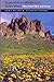 Superstition Wilderness Trails West: Hikes, Horse Rides, and History