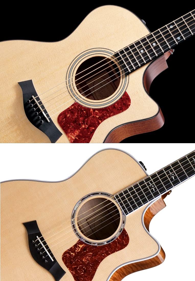 Amazon | Taylor(テイラー) 純正 透明ピックガード GA・GS用 5.5インチ 