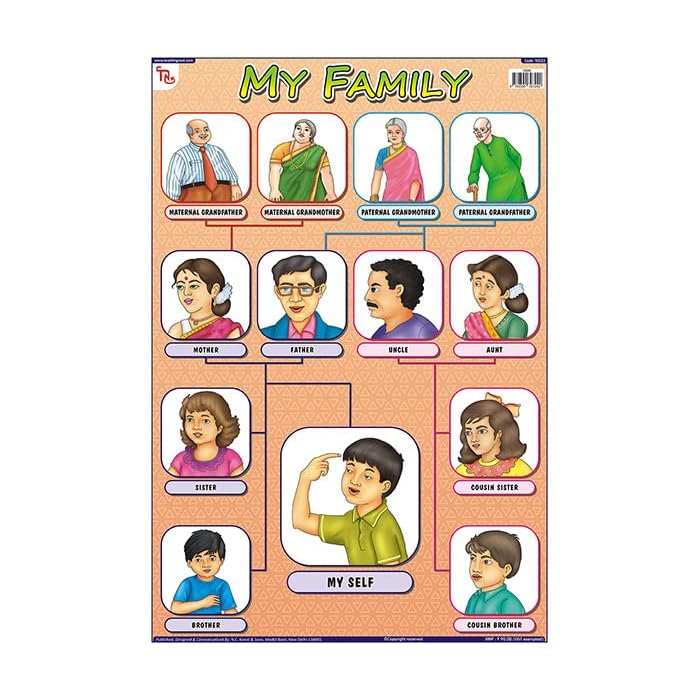 Buy TEACHINGNEST My Family Chart | Laminated 33x48 cm (13x19 inch ...