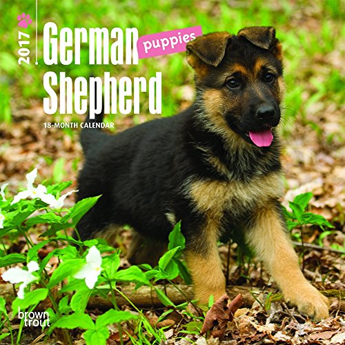 German Shepherd Puppies 2017 Calendar