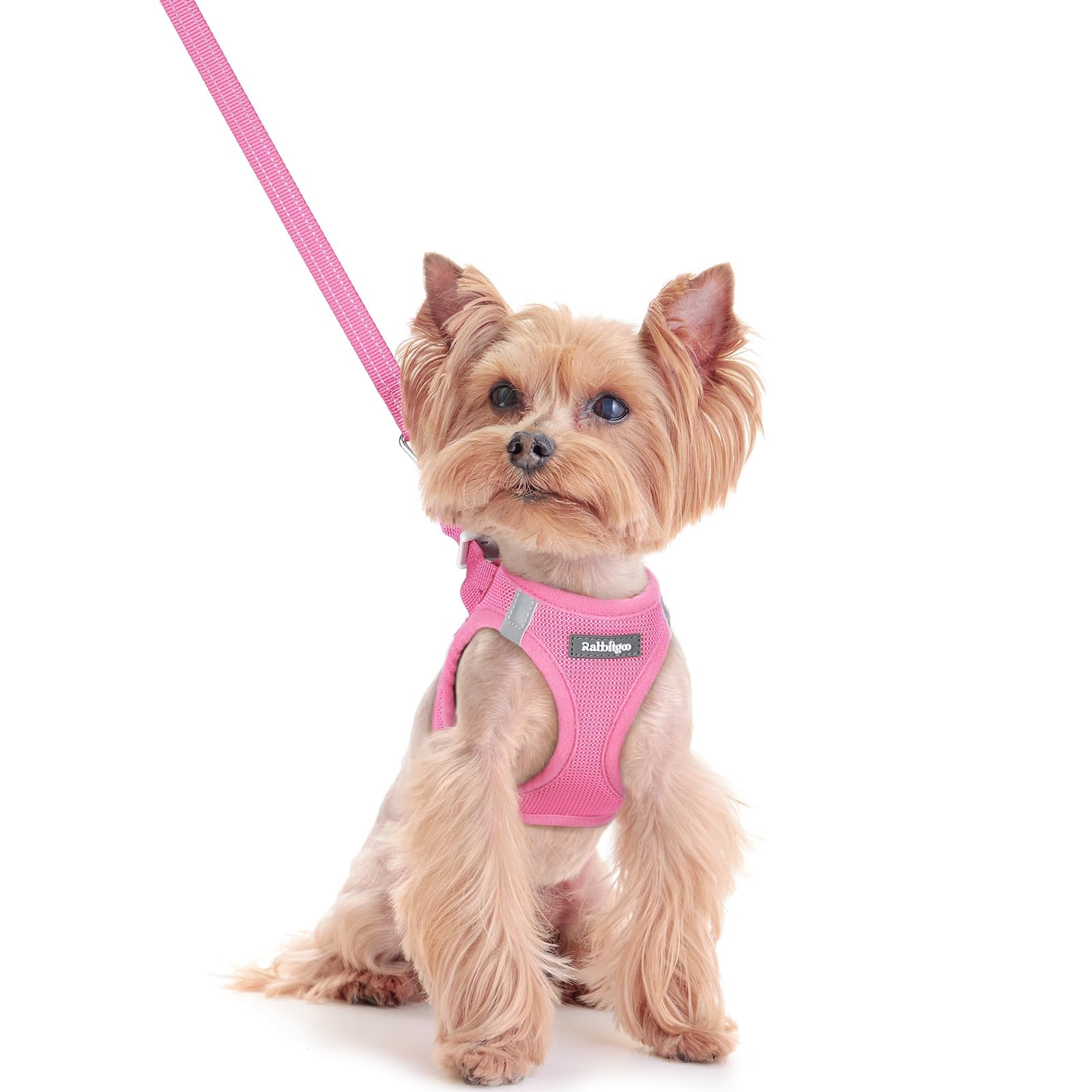 rabbitgoo Dog Harness Small Sized and Leash Set, Step-in Puppy Pet Vest