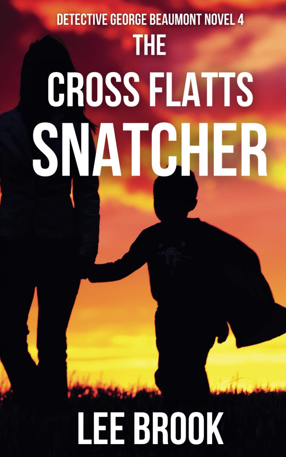 The Cross Flatts Snatcher: 4 (The West Yorkshire Crime Thrillers)