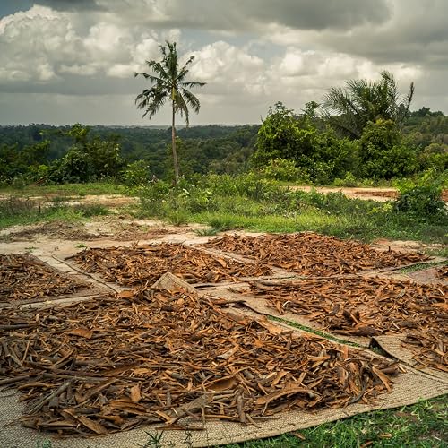 vinativo Zimt BIO – Ceylon aus Madagaskar – 500g – Pulver – fein gemahlen und schonend getrocknet– bio Rohkost-Qualität – zum Backen oder Würzen – aus kontrolliert biologischem Anbau