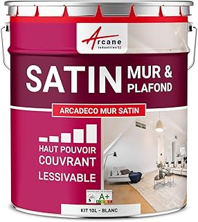 ARCANE INDUSTRIES Peinture Murale Interieur | Peinture Mur et Plafond satinée | Blanche ou teintée : Arcadéco Mur Satin - 10 L Blanc