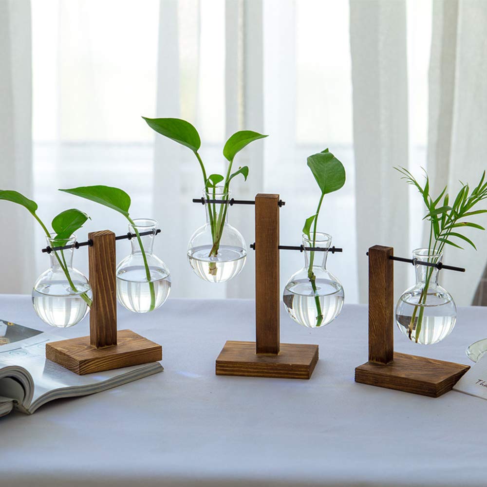 Buy Eyourlife Water Planting Glass Vase Double Clear Glass Vases Hanging Plant Terrarium with