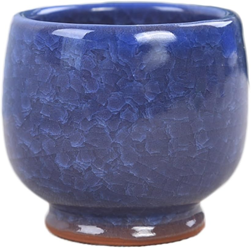 Succulent Pots Ice Cracked Ceramic Fleshy Desktop Small Pot Ceramic Crafts Bottom Hole Potted Size: 6 5.7cm