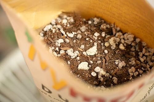 Miniatura 3 de IvyMay Dunes - Suelo para suculentas, mezcla orgánica para macetas de cactus para suculentas, listo para usar, plantas de interior con perlita,
