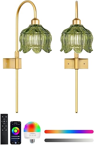 Miniatura 15 de Apliques de Pared Vintage con Enchufe, Apliques de Pared Regulables Juego de Dos, Lámparas de Pared con Cable de Enchufe y Pantalla de Cristal