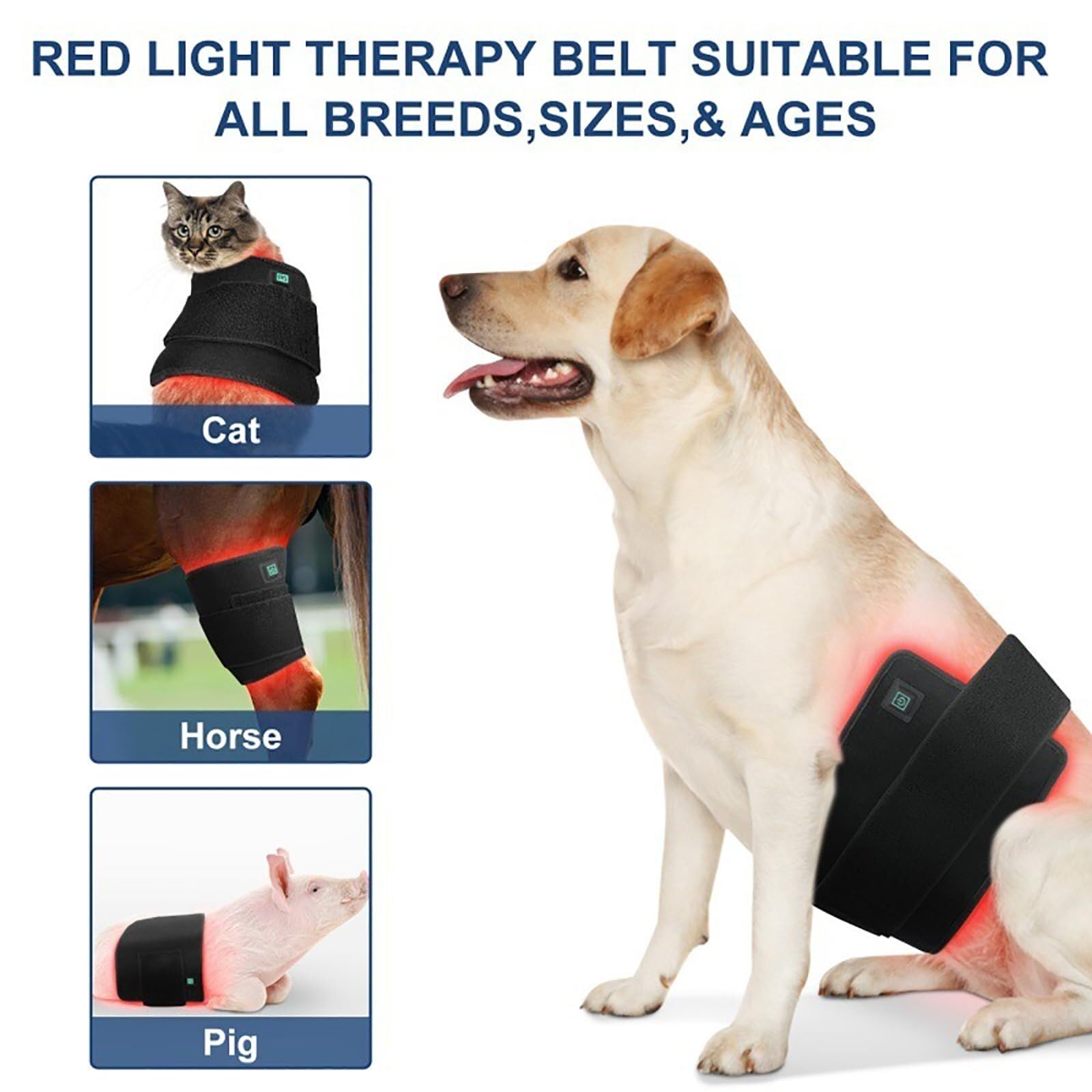 Cinturón de terapia de luz roja for mascotas, dispositivo de terapia de luz roja infrarroja antilamido portátil, for aliviar el dolor, cuidado de heridas en perros, gatos y caballos