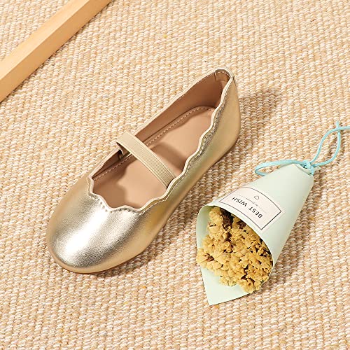 Toddler Girls Ballerina Flat Shoes Little Girls Mary Jane Princess Dress Shoes Butterfly on Back2