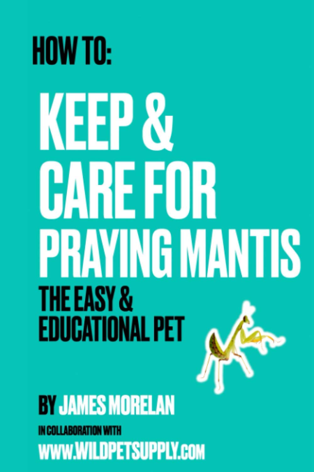 How To: Keep & Care for Praying Mantis: The Easy & Educational Pet: Pet Praying Mantis Care Guide