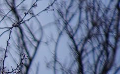 Review Image by Adam Adam