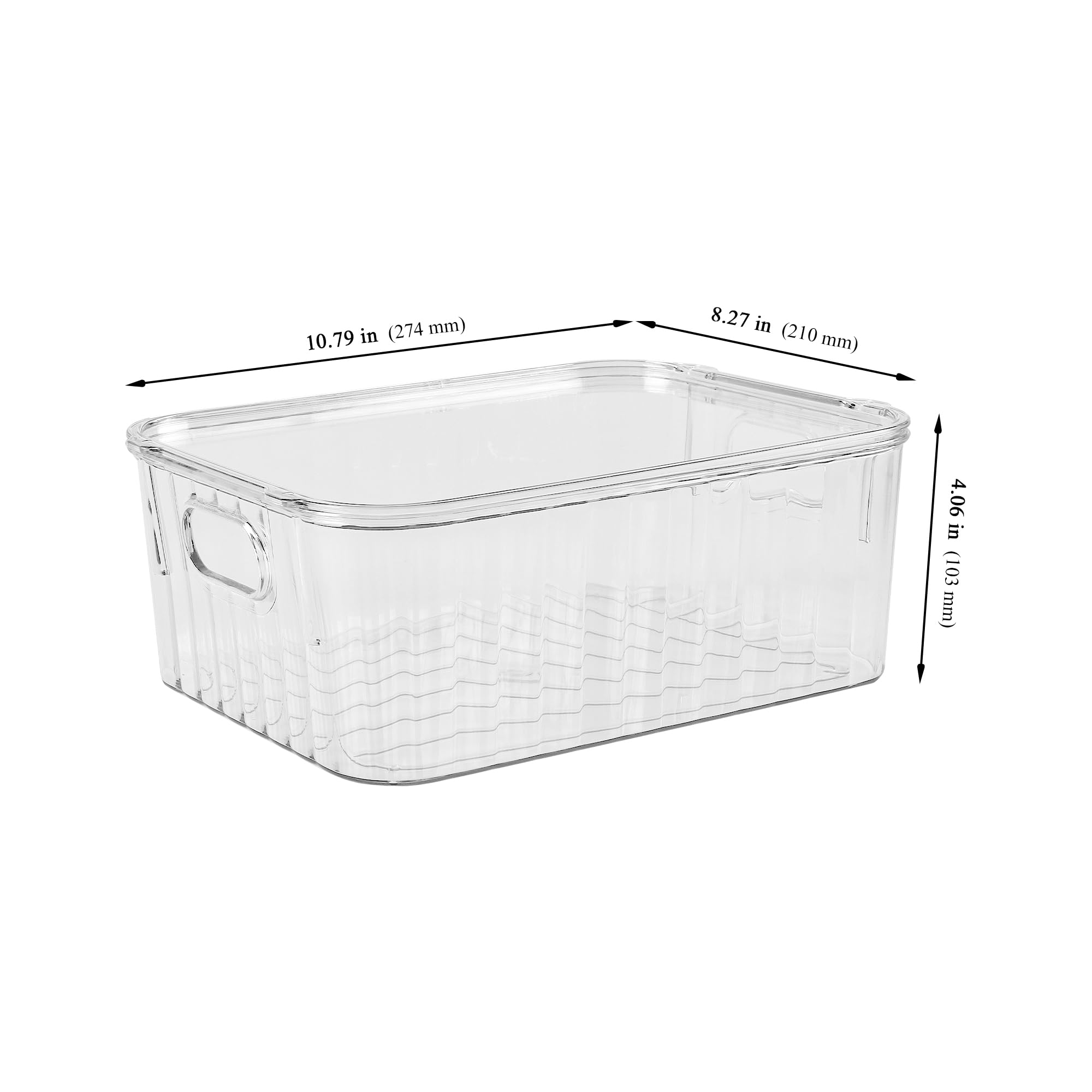 Set di 5 Scatole Trasparenti con Coperchio, 27 x 21 x 10,3 cm