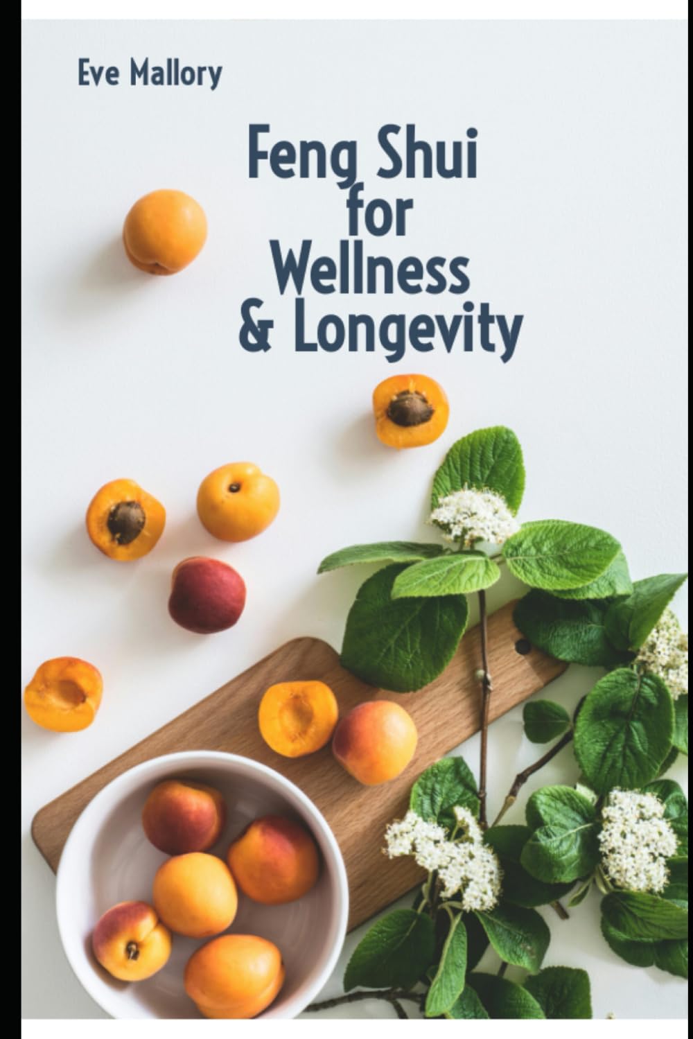 Feng Shui for Wellness & Longevity
