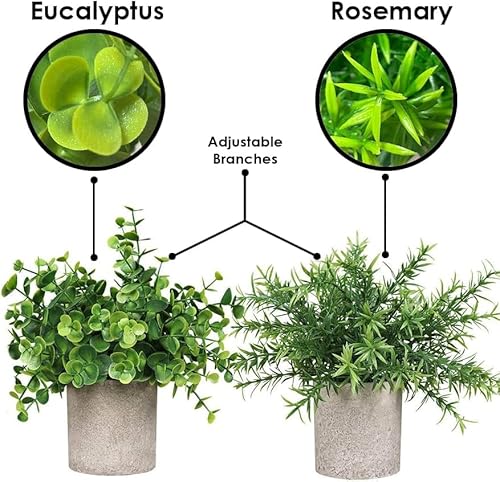 Exysh Fake Plants Set Of 4 Artificial Plants Indoor Mini Pot Faux Plant Foliage Eucalyptus Rosemary Succulent For Coffee Table Home Room Decor Bedroom Office Kitchen Garden Shelf Desk & Outdoor - 5