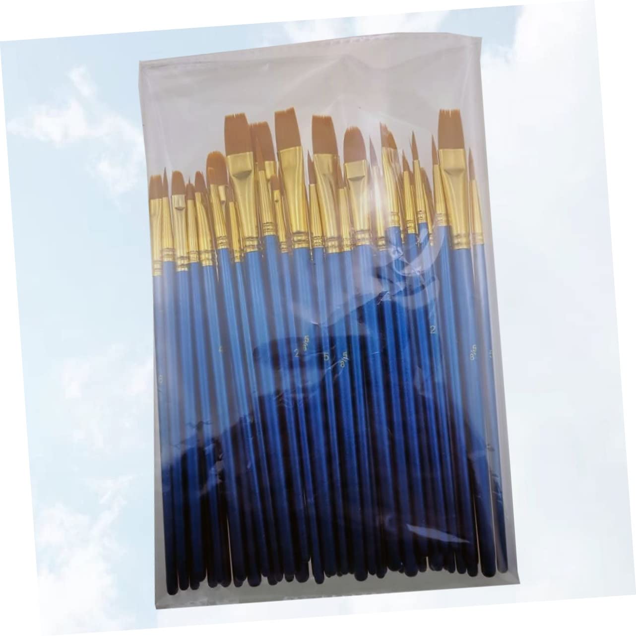HOMSFOU 2 Sätze Teiliges Pinselset Für Malerei Farbige Flache Pinsel Elastischem Material Geeignet Für Aquarell Öl Für Schüler Künstler Und Reisende Blau 50 Stück * 2