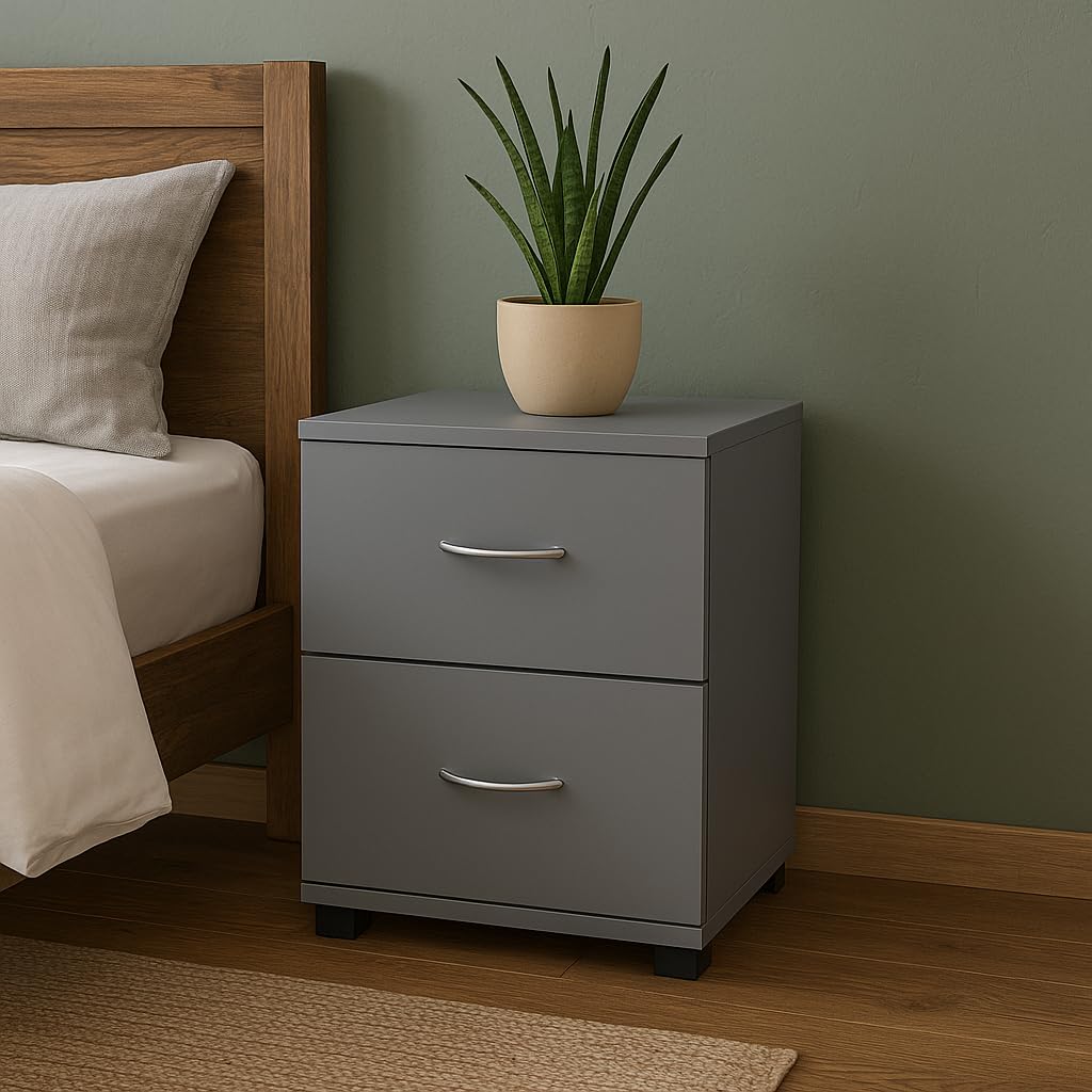 Comodino Camera da Letto con 2 Cassetti, Mobiletto Grigio 40x30x45 cm, Struttura con Melaminica e Piedini Neri