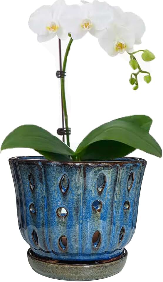 Vaso de orquídea de cerâmica redondo de 15 cm com furos para plantador de orquídeas (azul escuro)