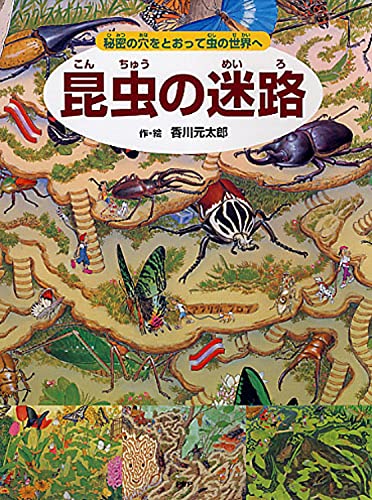 昆虫の迷路 秘密の穴をとおって虫の世界へ めいろ さがしえ むし 4歳 5歳からの絵本 香川 元太郎 小野 展嗣 小野 展嗣 本 通販 Amazon