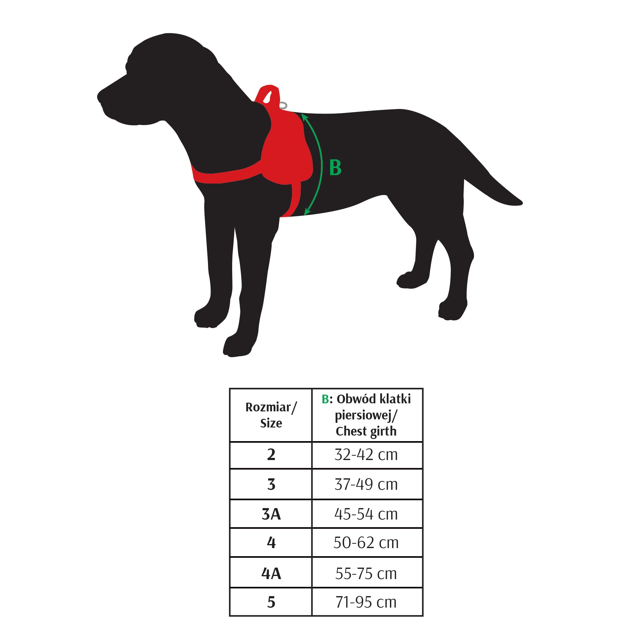 Dingo Patterned Harness for Dog Handmade in America Alabama Style 15808, Size 4A - Image 3