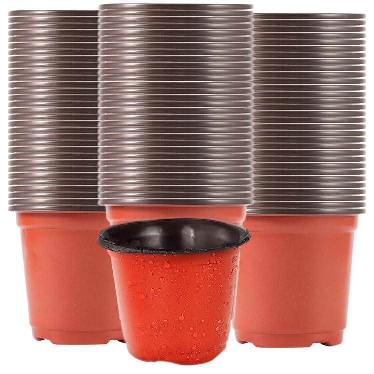 RUIBIXING 100Stück Anzuchttöpfe 10cm Plastik Pflanztöpfe Krautige Pflanzen Universal Aufzuchttöpfe Blume Pflanze Seed Kultivieren Blumentopf Gemüse Sukkulenten Obst