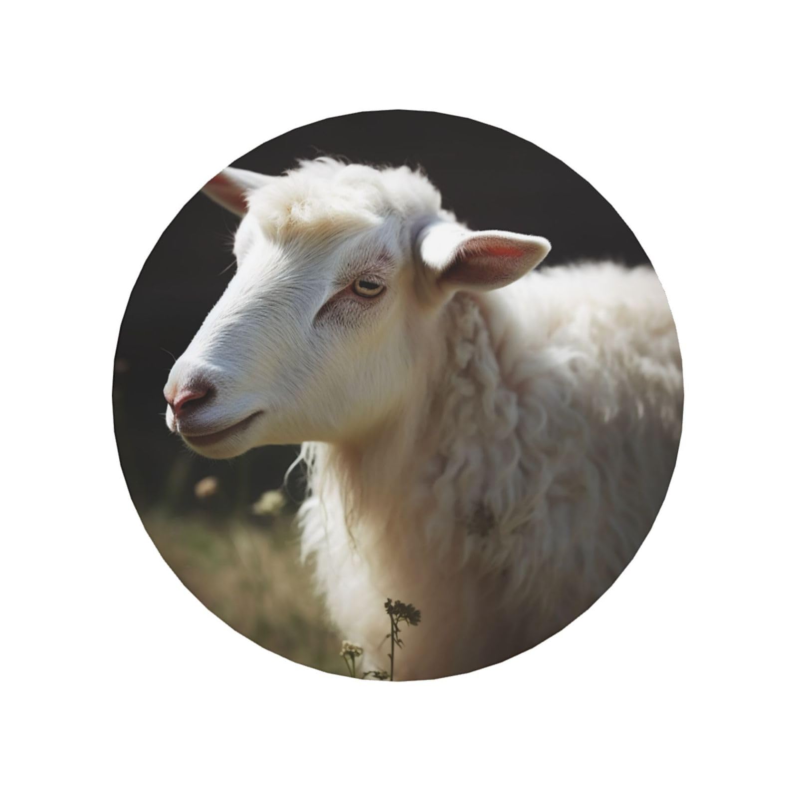 Sheep Fridge Magnets Cute Strong Refrigerator Magnets Fun Magnet for Locker Office Whiteboard Decor, Door Magnets Decorative Magnetic Stickers for Home Decor