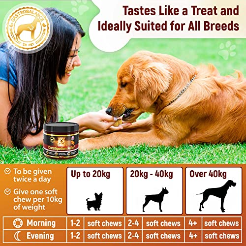 GastroBalance linderung verstopfung beim Hund – 60 weichen kausnacks abführmittel für Hunde 100% natürliche Wirkstoffe (Bacon-Geschmack)