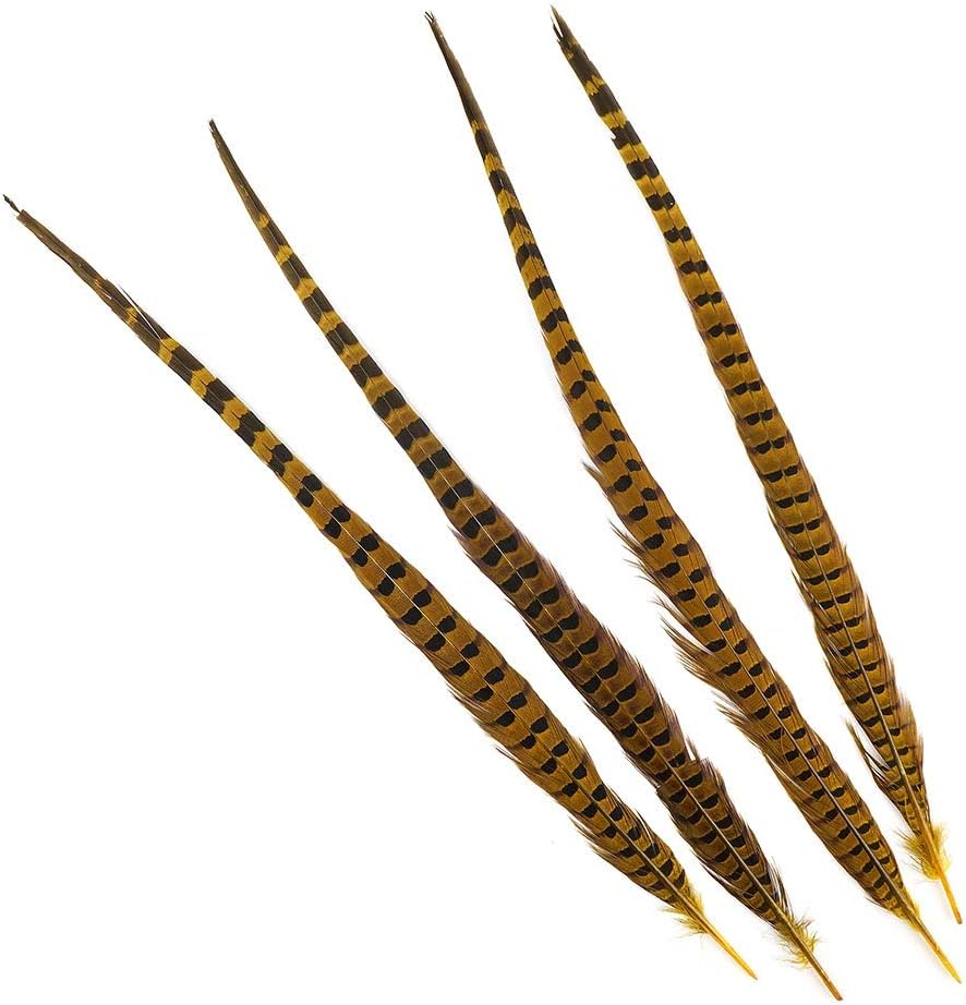 ZUCKER Ringneck Pheasant Tails 20-24" Dyed -5pcs - Gold