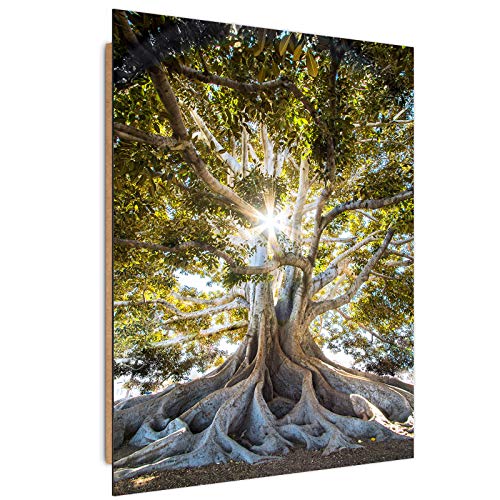 Feeby Image Panneau Déco Arbre 60x90 cm 1 Partie Tableaux Tableau Mural Photo Moderne Décoration Murale Artistique Photographie Design Cuisine Salon Chambre à Coucher Feuillage Nature Paysage Vert