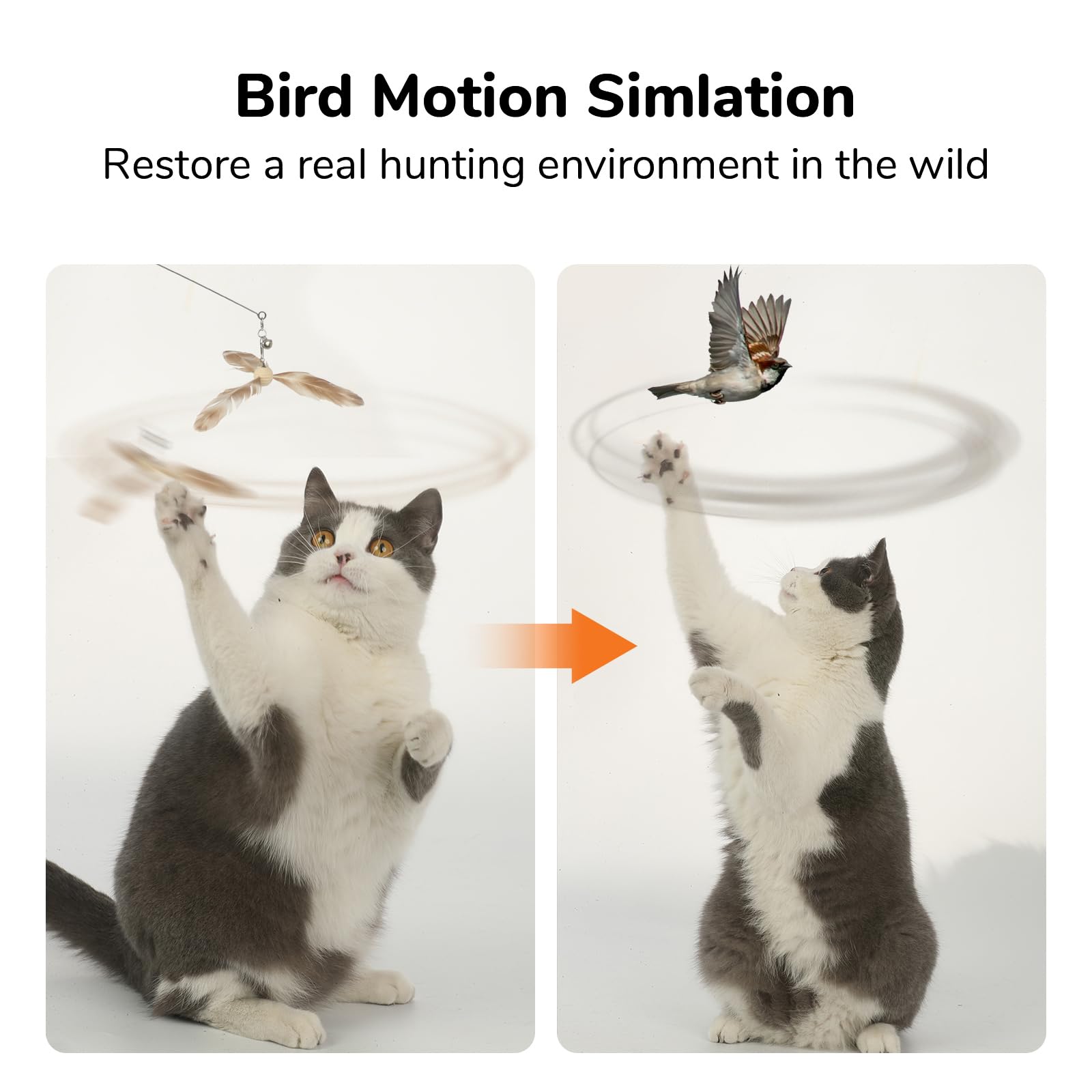 FUKUMARU Cat Wand Toy, 35.5 Inch Steel Wire Cat Feather Toy with Bell, Cat Toy for Indoor Cats with Natural Feather, Solid Wood Handle an Extra Cat Toy Feather Replacement (3 PCS Feather Replacement)