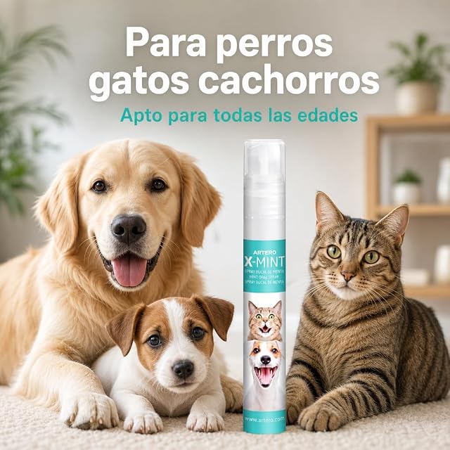 Foto 4 de 8 de Artero - Spray bucal menta Artero para perros y gatos X-Mint 14 ml