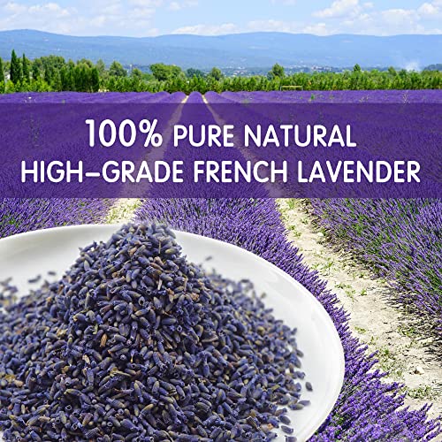 Yeedoox French Lavender Sachets Bags Home Fragrance 20-Pack For Drawer Closet Dresser And Car, Fresh Natural Dried Lavender Flowers Scent For Freshener Deodorizer Moth Away #TOP2