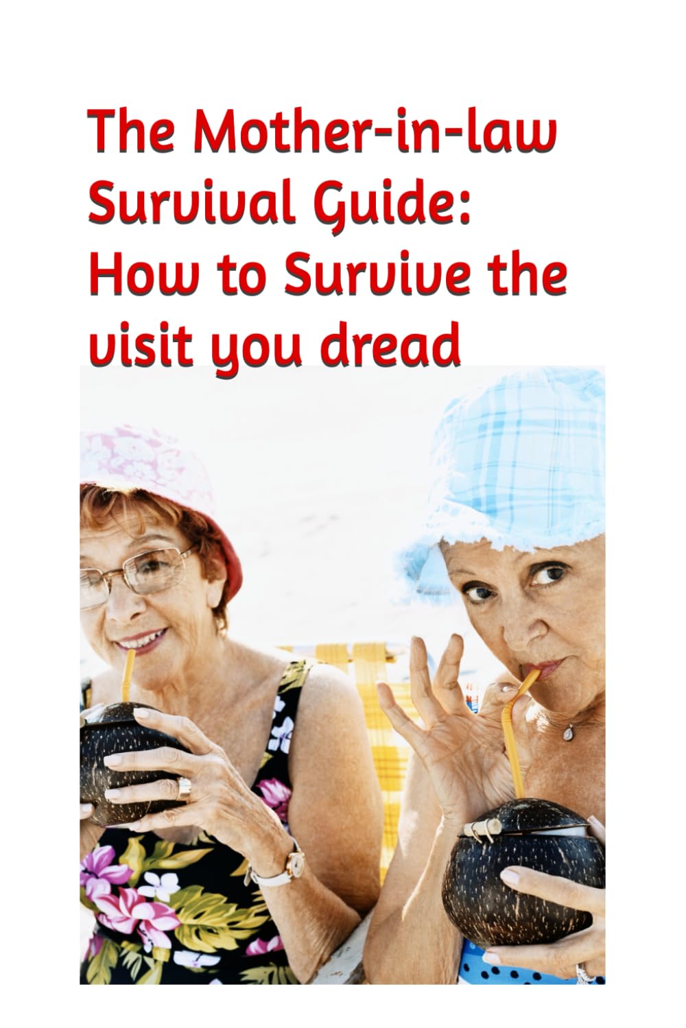 The Mother-in-law Survival Guide: How to Survive the visit you dread