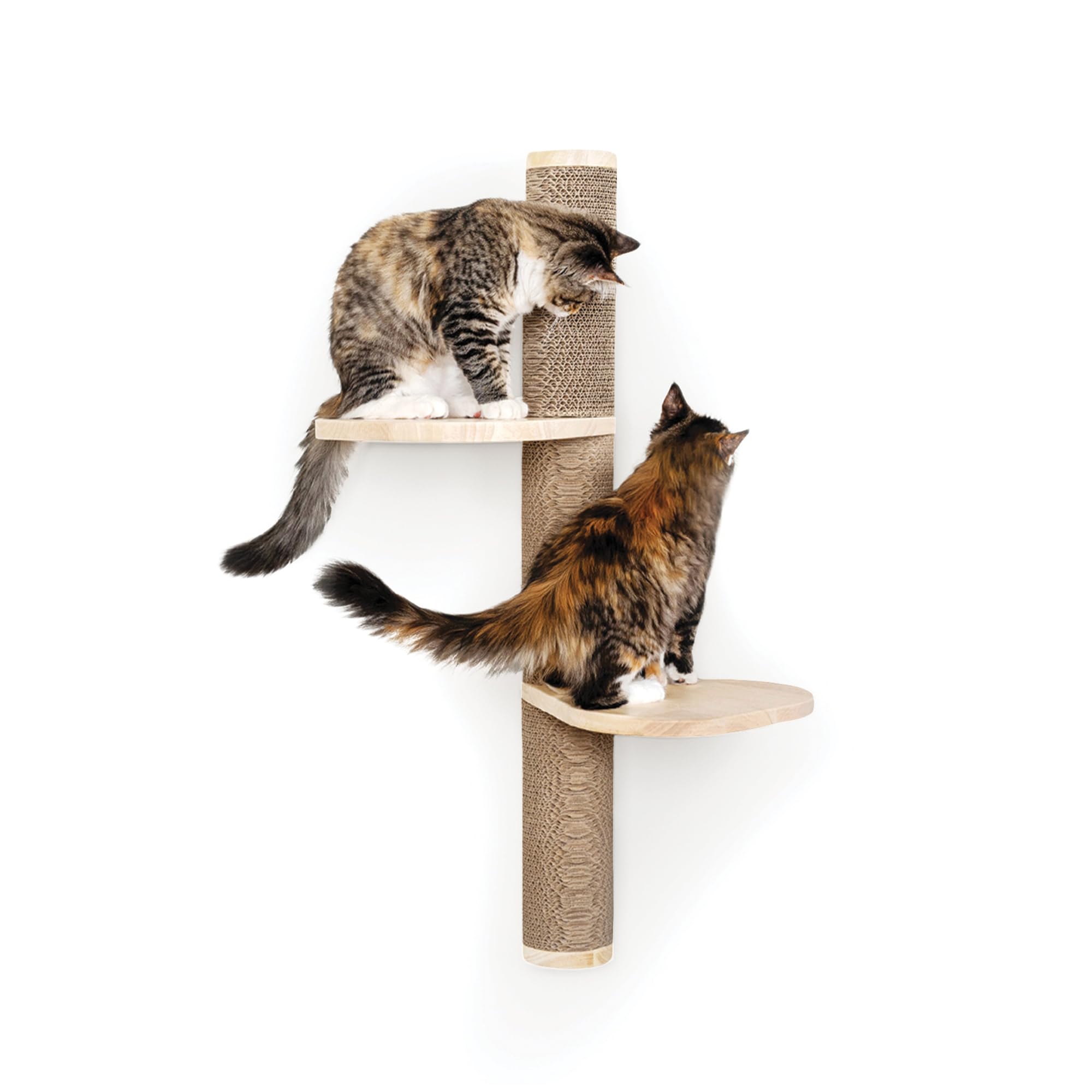 Cat Climbing Wall System – Modern Floating Shelves &amp; Perches for Cats - Sunrise Steps | Ascentials by FurHaven