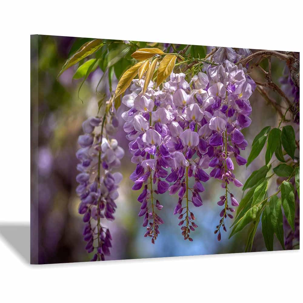 ZAMAEIU Nature Landscape Canvas Wall Art Wisteria in blooms posters picture, Modern Wall Decor, for Bedroom, Office, Living Room, Corridor, classroom(Purple;)-30x50cm Framed