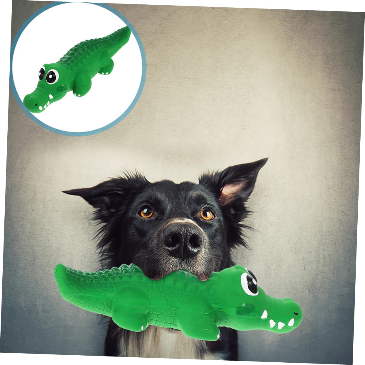 BESPORTBLE 8 Pièces Jouet pour Chien Qui Parle Animal en Peluche Balle de Dentition pour Chien Jouets Qui couinent pour Petits s Petit Jouet pour émulsion