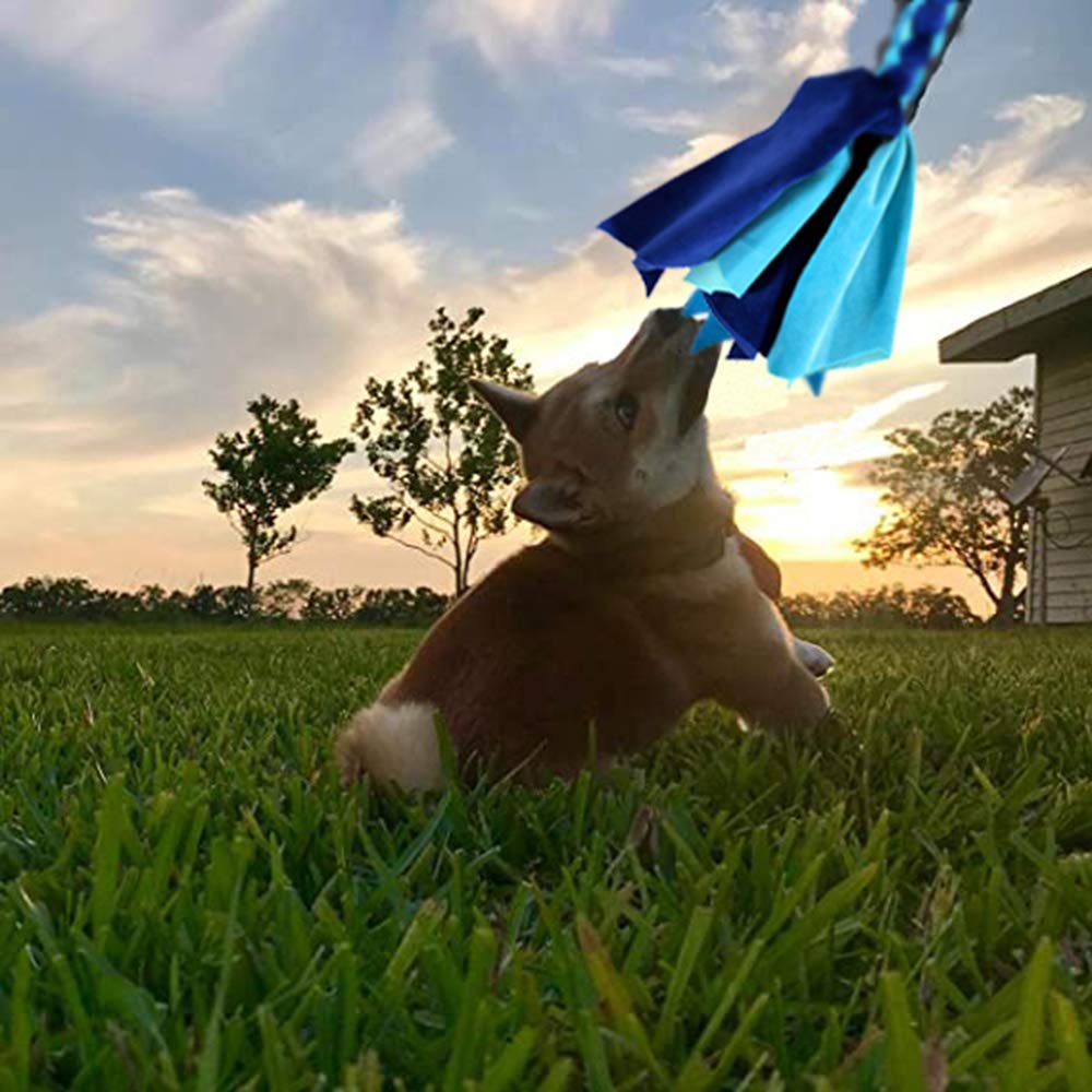 Tether Tug Toy For Large Dogs LOOBANI Heavy Duty Flirt Pole For Dogs -  Carbon Steel Interactive Chase Toy With Replaceable Ropes Chase And Tug Toy