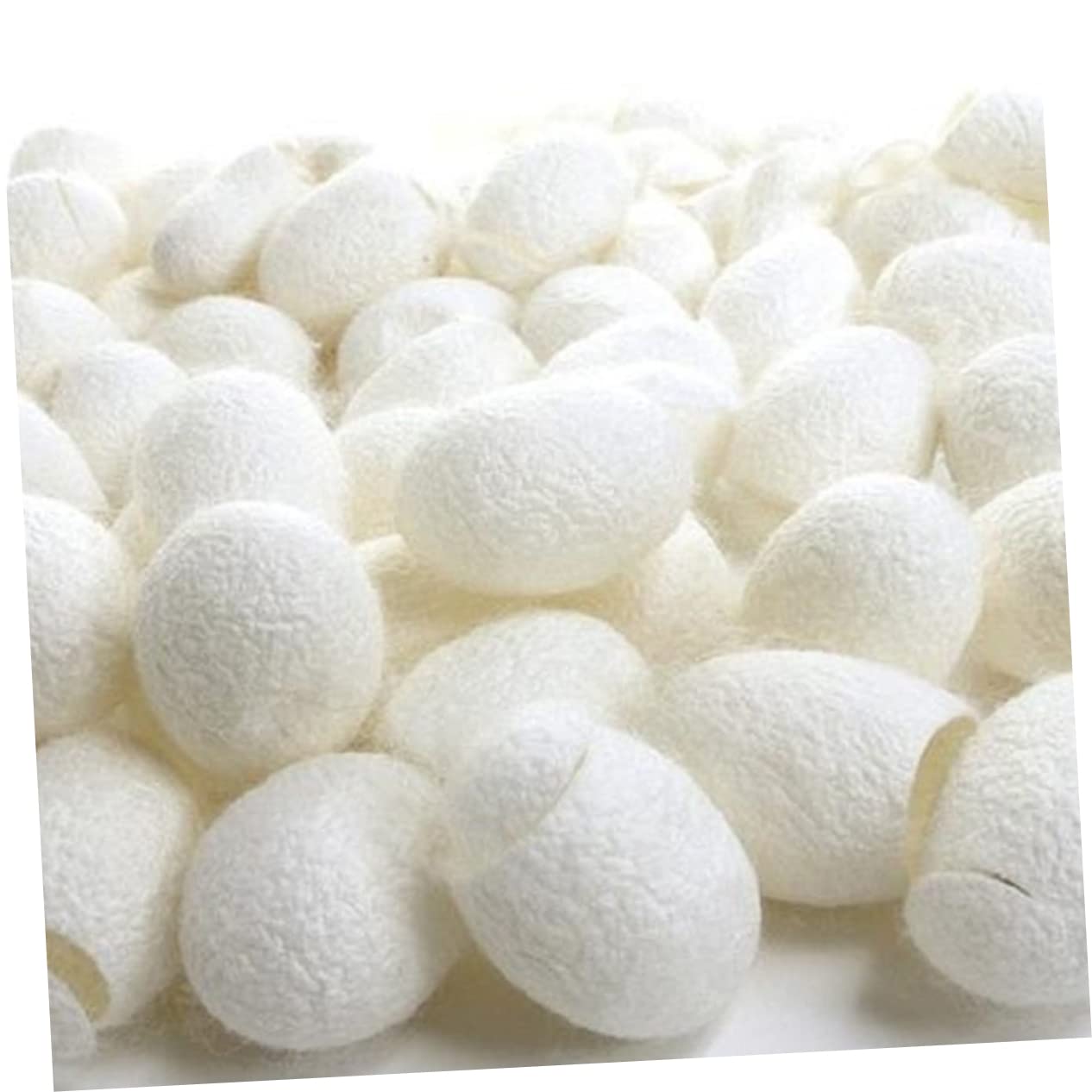 2 Set Di Spazzole Esfolianti in Seta Naturale Per Il Viso Per La Rimozione Del Trucco E La Della Pelle 200 Pezzi * 2