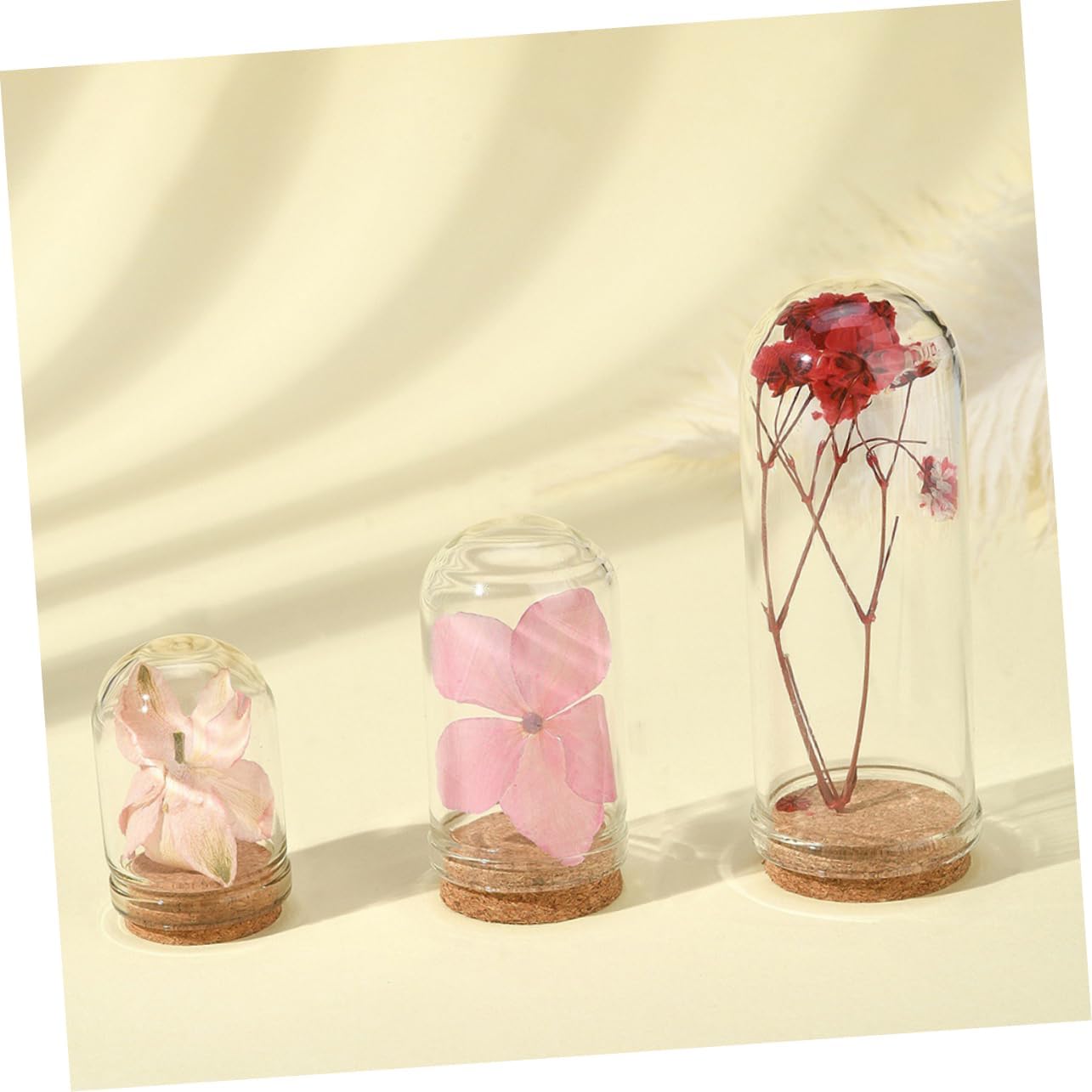 ABOOFAN 5sets 15pcs Mini Glass Dome Cloche with Base for Dried Flower Display Glass Terrarium for Mini Plants and DIY Micro Landscapes for Home Decor and 15pcs*5