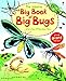 The Usborne Big Book of Big Bugs: And a Few Little Ones Too...