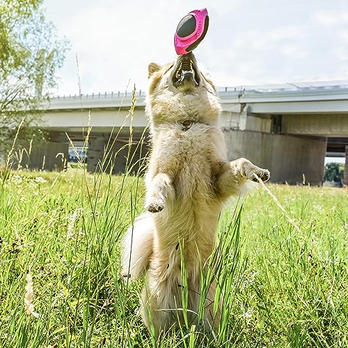 ne&no Hunde Football [Space Edition by hoher Sprungkraft I Wurfspielzeug I Jagdball I robust I Wurfball modern I für Land und Wasser I 17 cm lang