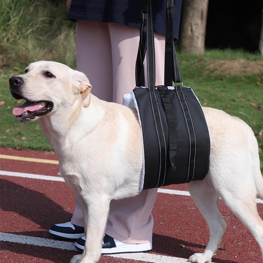 Imbracatura Cani Imbracatura Zampe Posteriori Regolabile Ripristinare la Debolezza Nella Gamba Posteriore per Sostenere Cani Anziani Feriti e Disabili (Nero, L)
