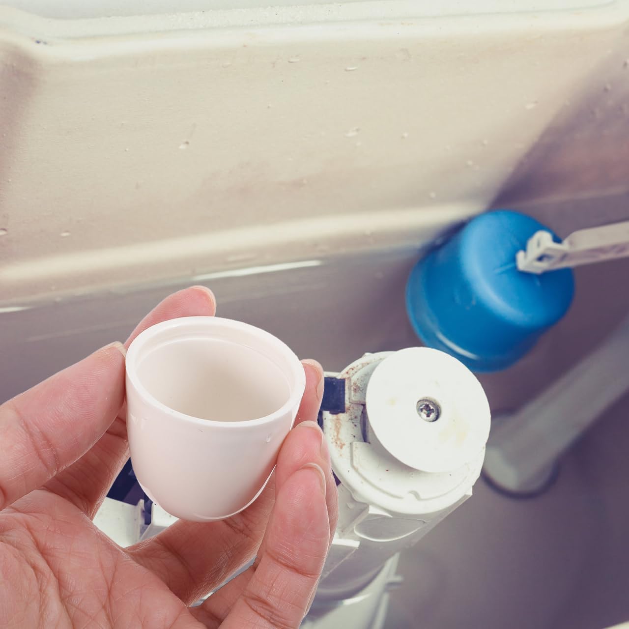 jojofuny Universelle Toilettenschraubenkappen 4 Stück Kunststoff Abdeckungen Für Wc Schrauben Toilettenschüssel Bolzenkappen Einfach Zu Montieren Robust Und Praktisch