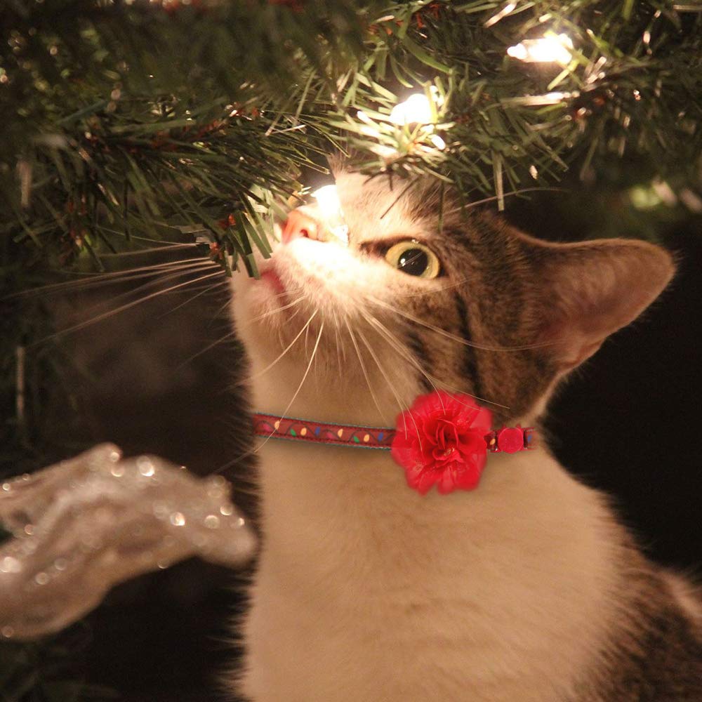 Weihnachts-Katzenhalsband Mit Glöckchen & QR-Code – Elastisch, Sicher, Mit Schneemann-Motiv