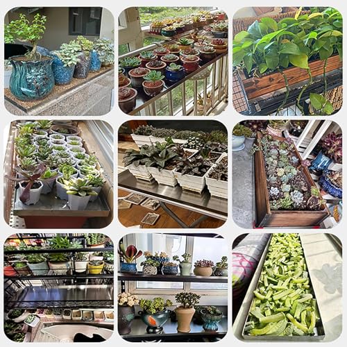 Receptor de agua debajo de la planta y macetas para evitar manchas 8
