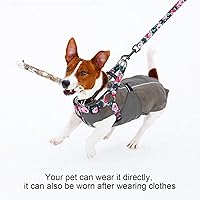 Vista 57 de BEAUTYZOO No Pull Dog Harness and Leash Set - Adjustable Step-in Puppy Harness for Small Medium Large Dogs, Escape Proof Soft Nylon Vest with Double