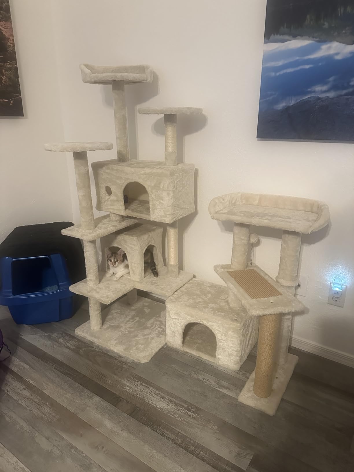 FDW Cat Tree 54in Cat Tower Multi-Level Durable Cat Scratching Post & Cozy Fun Cat Jumping Platform Space Saving Cat Condo Pet Play House for Indoor Cats,Dark Gray photo review